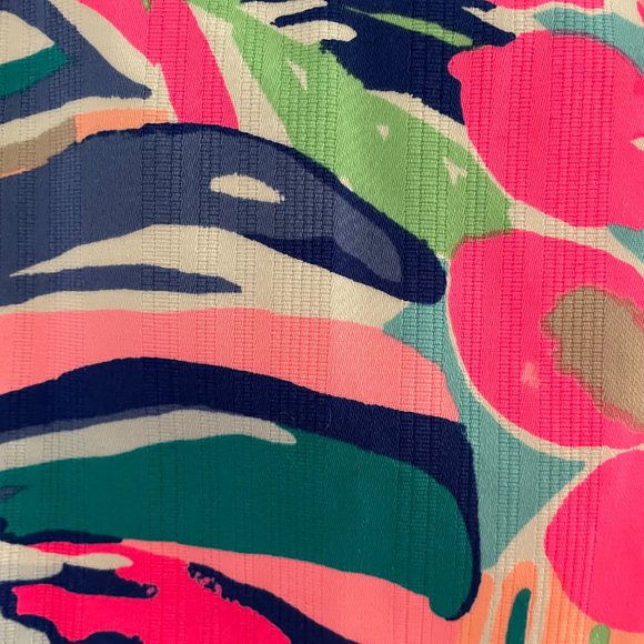 Size 12 Lilly Pulitzer Dress New w/ tags - Picture 6 of 6